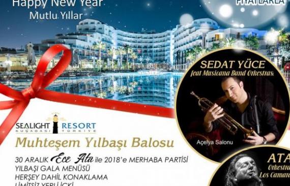 2018 New Year's Eve Ball
